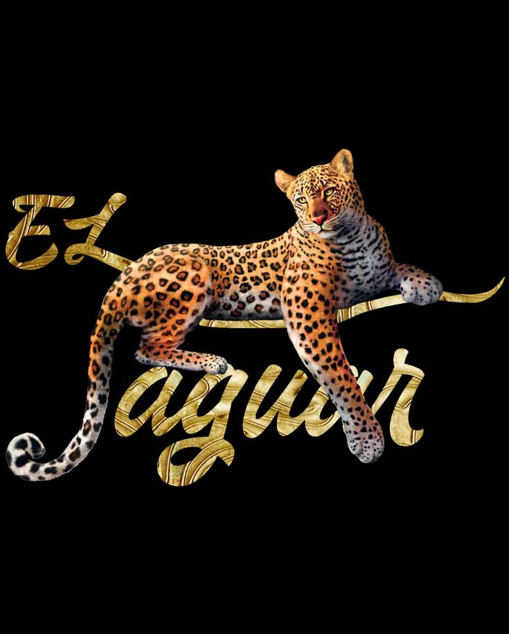 Mi Imagen